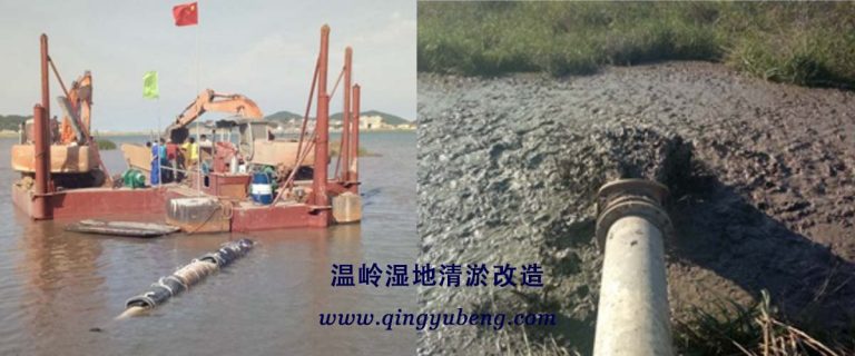 船陸兩用泥漿泵案例-溫嶺濕地清淤改造